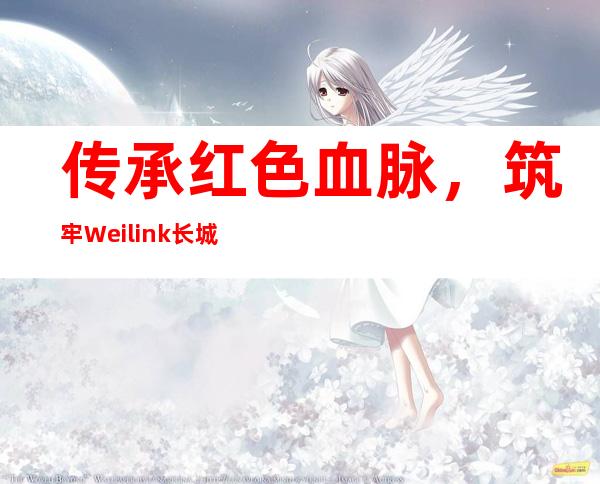 传承红色血脉，筑牢Weilink长城